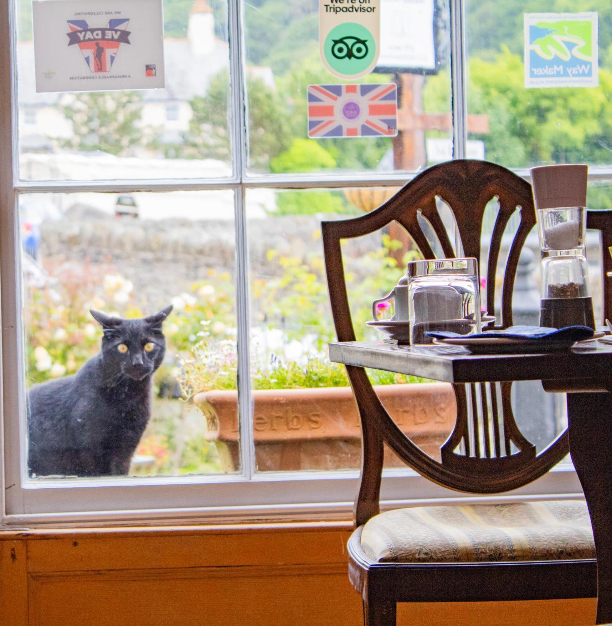 St Vincent Guest House Lynton Esterno foto